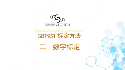 SBT951數(shù)字標(biāo)定720P